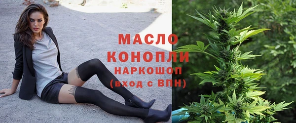 тгк Володарск
