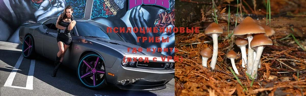 тгк Володарск