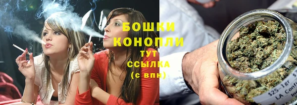 тгк Володарск
