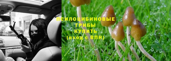 дурь Волоколамск