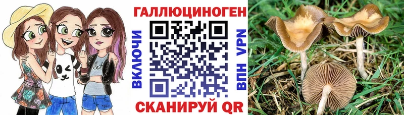 Галлюциногенные грибы GOLDEN TEACHER  купить   Йошкар-Ола 